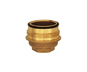 RIEGLER 101385-100/264 Tamis en laiton pour régulateur de pression pour eau potable, R 1, R 1 1/4, 1 pièce
