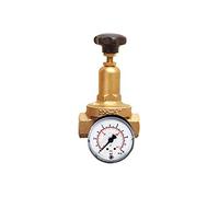 RIEGLER 101430-200.05 DRV 200 Régulateur de pression standard G 1 1,5-8 bar