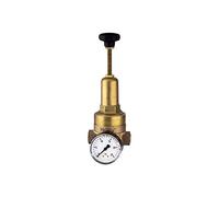 RIEGLER 101438-400.02 DRV 225 Régulateur de pression haute pression G 3/8 1,5-20 bar
