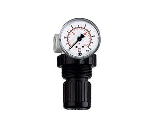 RIEGLER 101463-490.02 Valve de limitation de pression avec manomètre G 1/4 0,1-2,0 bar