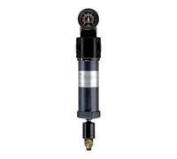 RIEGLER 101551-429.2612 Préfiltre avec manomètre différentiel G 2 µm