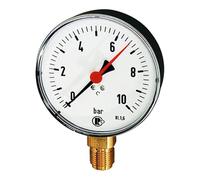 RIEGLER 101978-150/1 Manomètre standard en plastique G 1/2 bas 0-60 bar Ø 100 mm