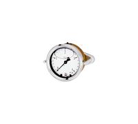 RIEGLER 102280-1003 Glyzerinmano Anneau avant triangulaire G 1/4 centre, 0-2,5 bar, Ø 63, 1 pièce