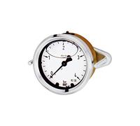 RIEGLER 102305-1033 Glyzerinmano Anneau avant triangulaire G 1/2 excentrique, 0-250,0 bar, Ø 100, 1 pièce