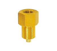 RIEGLER 102629-257.25 Mamelon de raccordement manomètre, laiton, manchon G 1/4, broche M12 x 1,5, 1 pièce