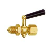 RIEGLER 102647-9007 Robinet d'arrêt manomètre, manchon, en laiton nu, G 1/4, 1 pièce