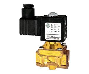 RIEGLER 102936-MV 1367 G 2/2-MV, MS,NC, prége,24 V DC,5 W, FKM, G1/2, PN0,1-10 bar, 1 pièce