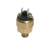 RIEGLER 103015-DS 214 Interrupteur à pression Mini Ausf., MS, 42 V, G 1/8, 1-10 bar, 1 pièce