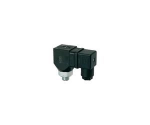 RIEGLER 103018-DS 6002 Interrupteur à bouton-poussoir rotatif en acier G 1/8 1-10 bar