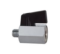 Riegler 103343 Mini robinet à boisseau sphérique, surface lisse laiton nickelé G1/8IT/ET DN8