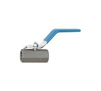 RIEGLER 103480-374.04-ES Robinet à boule en acier inoxydable 1.4408 1 pièce