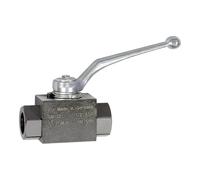 RIEGLER 103515-392.22 Robinet à billes à haute pression en acier G 1/4