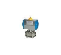 RIEGLER 103599-350.512 ES-Kuha pneumat Actionneur double action Rp 1 DN 25