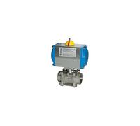 RIEGLER 103602-350.515 ES-Kuha pneumat Actionneur double action Rp 2 DN 50