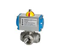 RIEGLER 103631-350.917-T1 ES-Kuha pneumat Servomoteur double alésage en T T1, Rp 2, 1 pièce