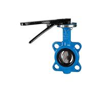 RIEGLER 103684-350.6080B Clapet d'arrêt intermédiaire DN 80