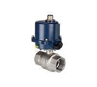 RIEGLER 103705-350.2815R Robinet à boisseau sphérique en laiton à 2 voies, actionneur électrique, 24 V DC, Rp 2, 1 pièce