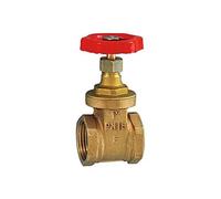 RIEGLER 103781-250.40 Robinet-vanne à manchon sans course en laiton G 2 1/2 DN 60