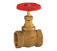 RIEGLER Riegler Robinet à soupape à manchon, laiton, G 2, DN 50 Quantité:1