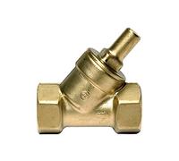 RIEGLER 103825-220.02 Clapet anti-retour, version siège incliné, MS, Rp 3/8, 0,5 bar, 1 pièce