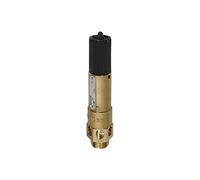RIEGLER 105248-1144.03-7.0 Valve de sécurité haute performance MS, G 1, pression de réponse 7 bar, 1 pièce