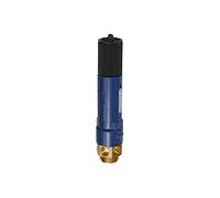 RIEGLER 105338-1145.02-2,0 Valve de sécurité haute performance MS, G 1 1/2, pression de réponse 2 bar, 1 pièce