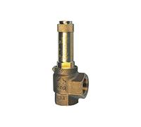 RIEGLER 105512-222.07-2,5 Valve de sécurité d'angle à vapeur de selle G 1 1/2 Pression de contact 2,5 bar 1 pièce