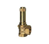 RIEGLER 105533-221.03-3,3 Valve de sécurité d'angle liquide G 1/2 Pression de réponse 3,3 bar 1 pièce