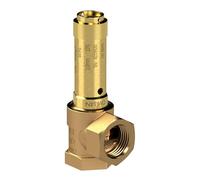 RIEGLER 105610-221.06-1.5 Vanne de sécurité d'angle liquide G 1 1/4 Pression de réponse 1,5 bar, 1 pièce