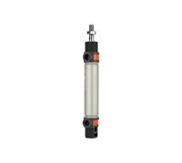 RIEGLER 105711-8.DM.20025 Cylindre rond TP double trame, aimant, piston Ø 20, course 25, G 1/8, 1 pièce