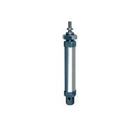 RIEGLER 105782-1.DM.20100 Cylindre rond, double trame, aimant, col.-Ø20, o.D, hub 100, G1/8, 1 pièce