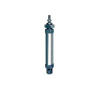 RIEGLER 105791-1.DM.25100 Cylindre rond, double trame, aimant, col.-Ø25, o.D, hub 100, G1/8, 1 pièce