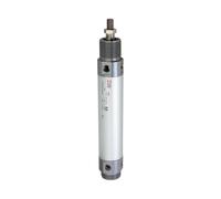 RIEGLER 105865-2.DM.40250 Cylindre rond, double effet, aimant, piston Ø 40, course 250, G 1/4, 1 pièce