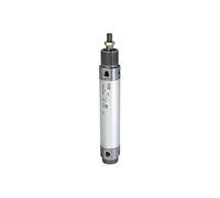 RIEGLER 105873-2.DM.50125 Cylindre rond, double effet, aimant, piston Ø 50, course 125, G 1/4, 1 pièce