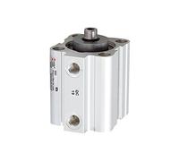 RIEGLER 105915-3.DM.25030 Cylindre de levage court, double rotation, aimant, piston Ø 25, course 30, G 1/8, 1 pièce