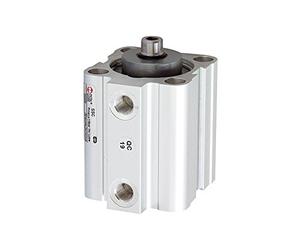 RIEGLER 105928-3.DM.40040 Cylindre de levage court, double rotation, aimant, piston Ø 40, course 40, G 1/8, 1 pièce