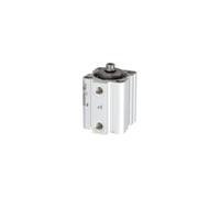 RIEGLER 105946-3.DM.80025 Cylindre court, double action, aimant, piston Ø 80, course 25, G 1/4, 1 pièce