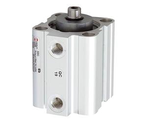 RIEGLER 105960-3.EMF.32010 Cylindre de levage court, mécanisme simple, aimant, piston Ø 32, course 10, G 1/8, 1 pièce