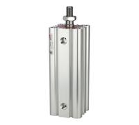 RIEGLER 106055-7.DMA.25010 Cylindre compact LINER, double fil, filetage intérieur, piston Ø 25, course 10, M5, 1 pièce