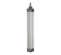 RIEGLER 106218-5.DMD.63050 Cylindre standard à double action aimanté Ø 63 Course 50 G 3/8