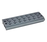 RIEGLER Riegler Plaque de base multiple pour valves de voie, 7 positions de valve, G 1/8 Quantité:1