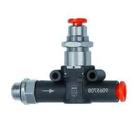 RIEGLER 106824-494.014-8 Valve anti-retour G1/4 Schl.8 1 pièce