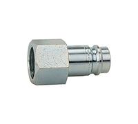 RIEGLER 107475-410.95 Mamelon NW 10 en acier trempé/galvanisé, construction robuste, G 3/8 IG, 1 pièce