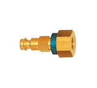 RIEGLER 107655-247.71 NW 5 Mamelon en laiton nu G 1/8 IG Bleu