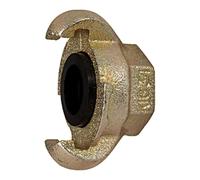 RIEGLER 107861-KI 10 Raccord à griffes avec filetage intérieur, G 1, DN 20, 1 pièce