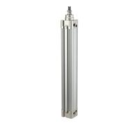 RIEGLER 114622-10.DMD.125150 SE Cylindre standard double action, piston Ø 125, course 150, G 1/2, 1 pièce