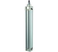 RIEGLER 114666-10.DMD.40450 Cylindre standard « SE » double action - Diamètre du piston : 40 - Hub : 450 - G 1/4-1 pièce