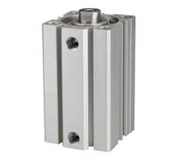 RIEGLER 115132-12.DMI.50050 ACQ Cylindre de levage court double action avec piston Ø 50, course 50, G 1/4, 1 pièce