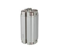 RIEGLER 115358-13.DM.50010 ACP Cylindre compact à double action, piston Ø 50, course 10, G 1/8, 1 pièce