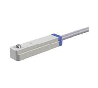 RIEGLER Riegler Capteur, type »CS1«, capteur REED, 2 fils, câble 3 m, NO Quantité:1